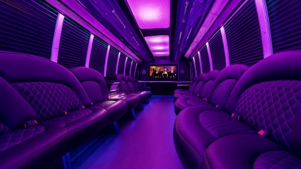 santa clarita 20 passenger party bus